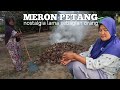 Rutinitas Kak Noi Petang Hari Kampung Tok Kamis