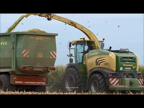 Krone-Claas-Fendt-JCB / Maissilage - Corn Silage 2018