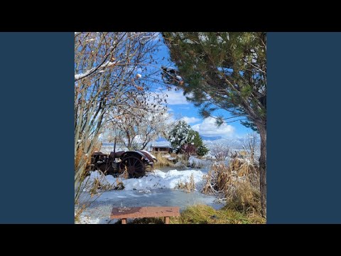 Banu Choshech Legaresh