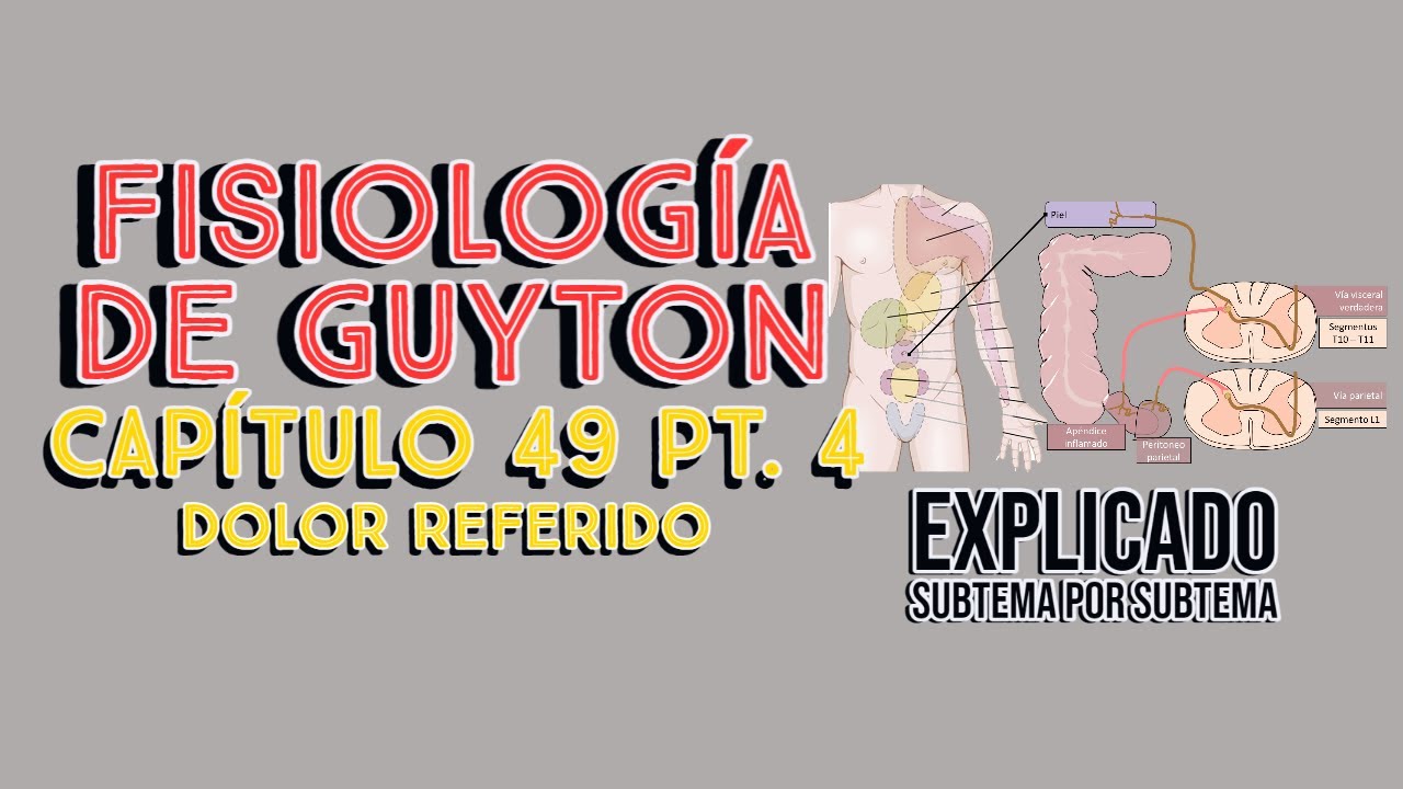 CAP 49 4/6: Dolor referido (dolor visceral) y dolor parietal l Fisiología de Guyton