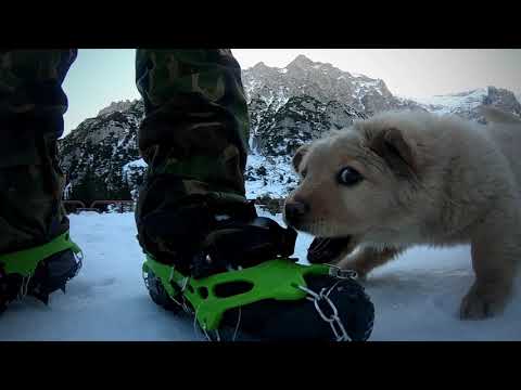 Cabana Malaiesti - Muntii Bucegi