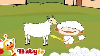 Oliver  Farm  BabyTV
