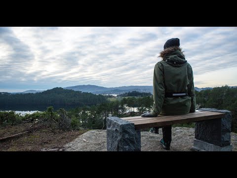 Vandretur gjennom Alvøskogen #turtips #alvøen #alvøskogen