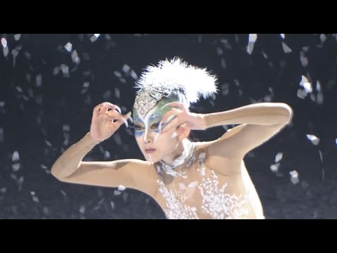 Dance: Peacock of Winter