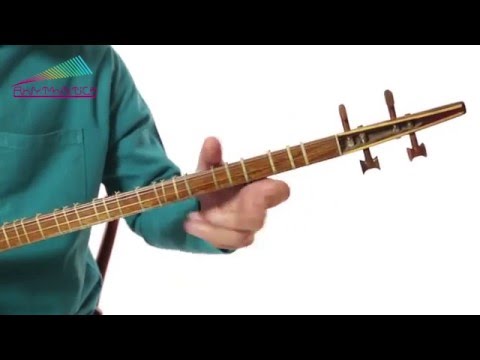 Setar online lessons