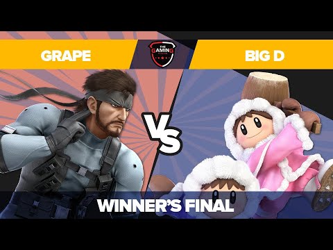 Big D vs Grape - Ultimate Singles: Top 8 - Pinnacle 2021 | Ice Climbers vs Snake