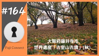 #164 大阪府藤井寺市　古室山古墳(秋)
