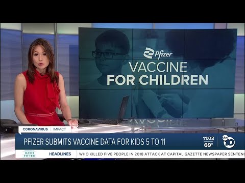 ABC 10News at 11am Top Stories