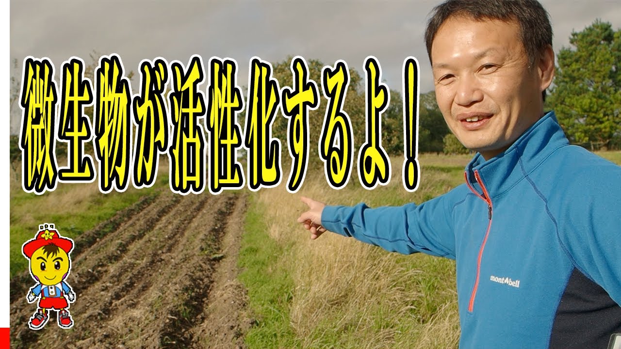 微生物が活性化する持続可能な農法とは？自然農法の利点とトウモロコシの自家採種法
