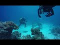 Ween Ocean Man Slowed Reverb Slowedshitz Style