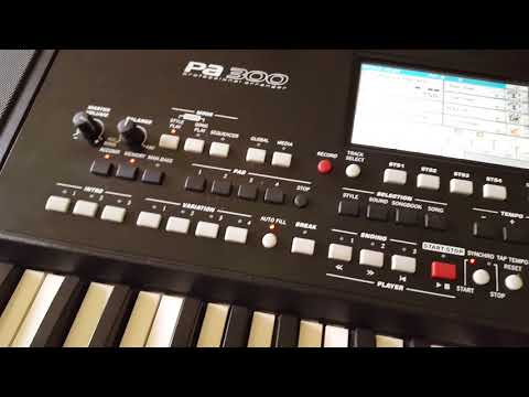 Korg pa 300 bg set 2018
