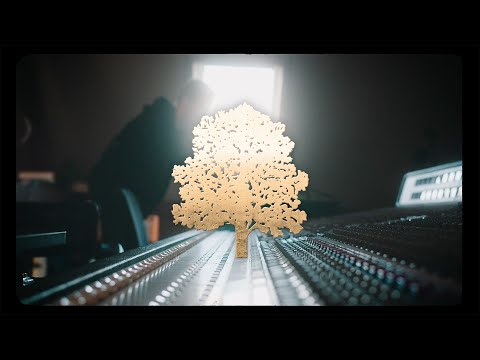 SHERIDAN AT LIMETREE STUDIOS - PART 1 (ARRIVAL)