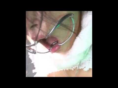 05. warfill - gnash (ft. COLE THE KING) [01.12.2017]