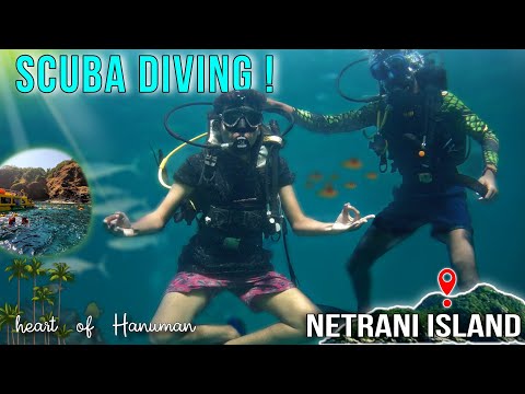 I can't believe this is Arabian sea🤿| scuba diving at netrani