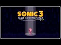 Sonic the Hedgehog 3 AIR - One Step Ahedge of Yourself