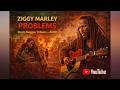 Ziggy Marley – Problems | Roots Reggae Tribute by AMID