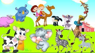 Suara binatang lucu untuk anak anak | Nama dan suara herbivora(sapi, kambing, kuda, gajah, badak,)