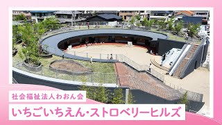 YouTubeの動画サムネイル