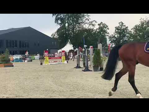 Arezzo VDL x Indoctro