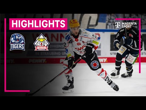 Straubing Tigers - Pinguins Bremerhaven | PENNY DEL | MAGENTA SPORT