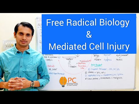 Free Radical Injury Pathology || Free Radical Biology || Reactive Oxygen Species