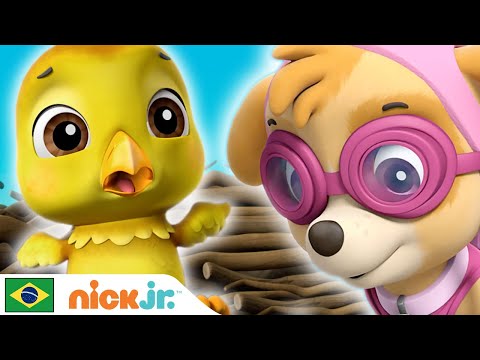 Capa de Patrulha Canina | Patrulha Canina Salva a Águia | Nick Jr. em Português