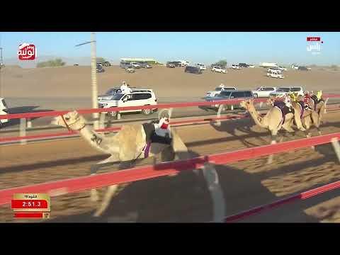 ش 19 (شواهين) لـ مبارك سالم عقيدان الوهيبي 3:04:31 ، شارة العقود 2026/05/23 السوان
