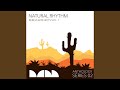 Nevicata (Natural Rhythm Remix)