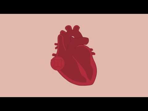 dCELL®  TECHNOLOGY - Tissue Regenix