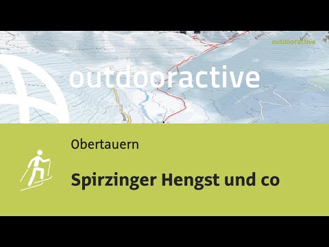 Spirzinger Hengst und co
