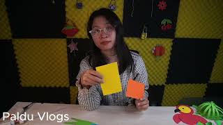 Hướng dẫn làm con công bằng giấy trang trí tường siêu đẹp và đơn giản | Paldu Vlogs