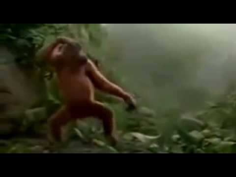 La plus drôle chanson au monde LOL OMG MDR