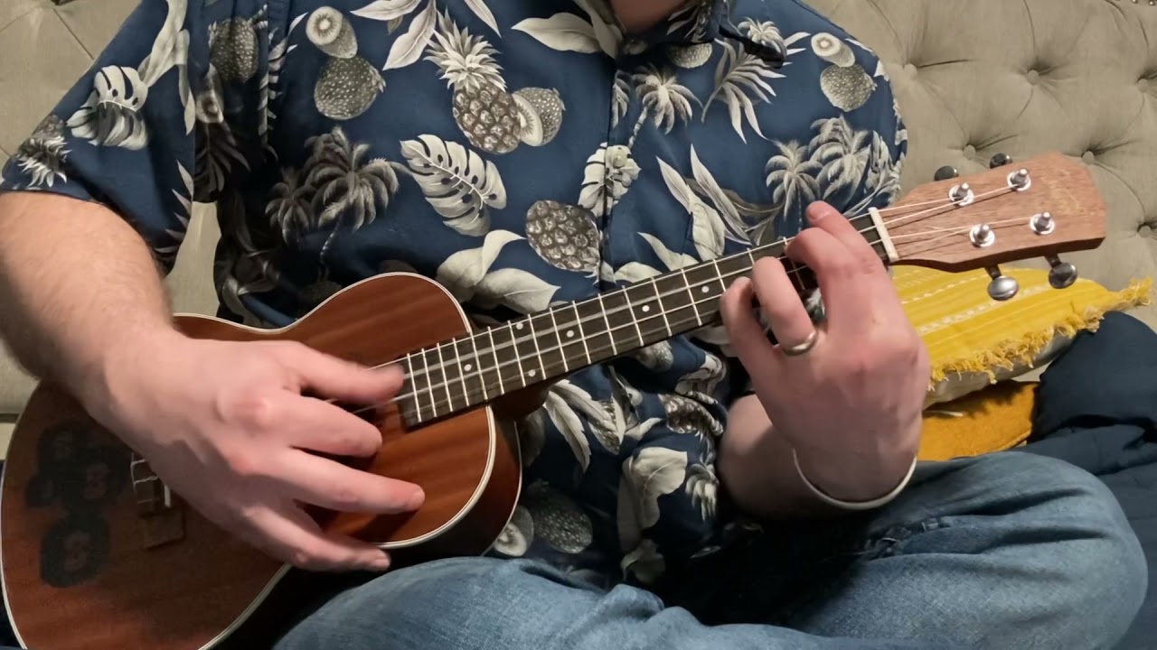 Catbus - Ghibli Ukulele
