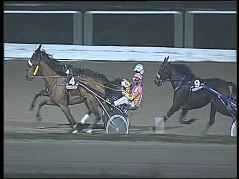 Trotto 22/12/2015 - 7° corsa