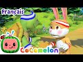 Le Lièvre Et La Tortue CoComelon En Français Chansons Pour Bébés