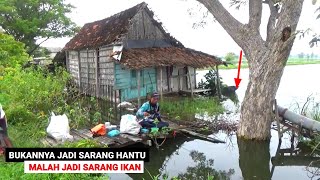 Download lagu PANEN IKAN MAS.. Dikira sarang hantu ternyata full ikan mas mancing di rumah kosong mp3 Download lagu PANEN IKAN MAS.. Dikira sarang hantu ternyata full ikan mas mancing di rumah kosong mp3