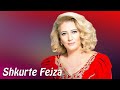 Shkurte Fejza - Këngëtarës