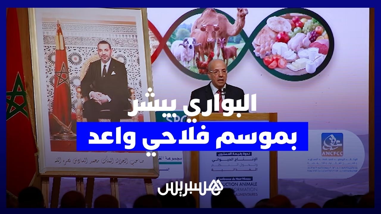 البواري: إنتاج الحبوب مرشح لبلوغ 90 مليون قنطار في الموسم الجاري thumbnail