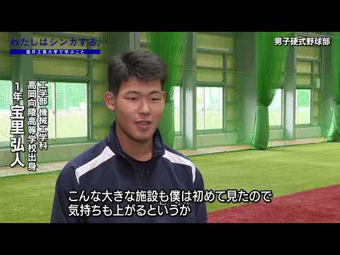 わたしはシンカする。男子硬式野球部（カール・マイヤーグラウンド）