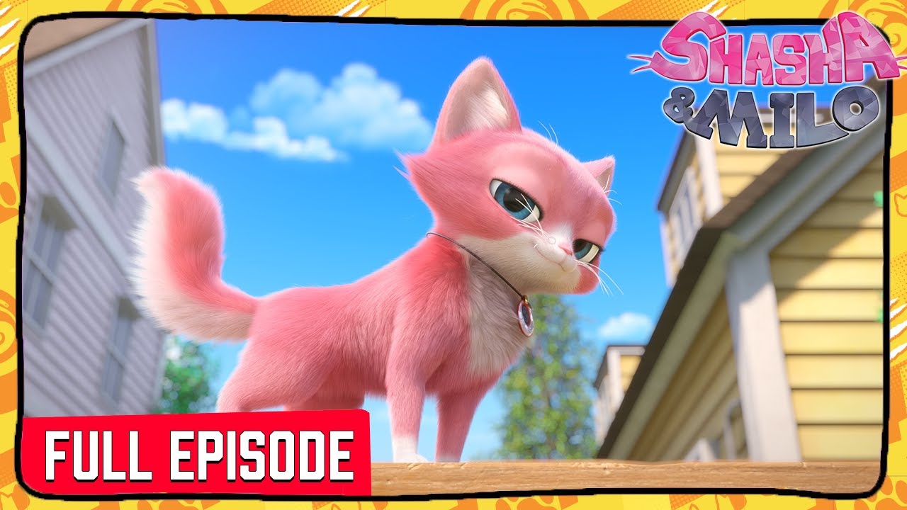 Shasha & Milo | S1 E10-11 | A Day in the Life of Bong Bong / Kitchen Cat-Astrophe | DOUBLE EPISODE