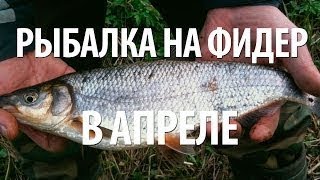 Снасть для ловли рыбца весной