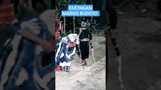 Download lagu KUCINGAN MARGO BUDOYO #senjalacb #margobudoyo mp3