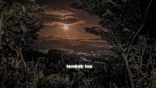 Download lagu Story wa Di sayidan - shhagy dog 'jangan kau takut pada gelap malam bulan dan bintang semuanya teman mp3