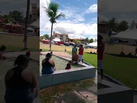 #music #pop #memes #whowillbemylifepartnerta #birds simplesmente perfeito #caraibas #bahia #Pais