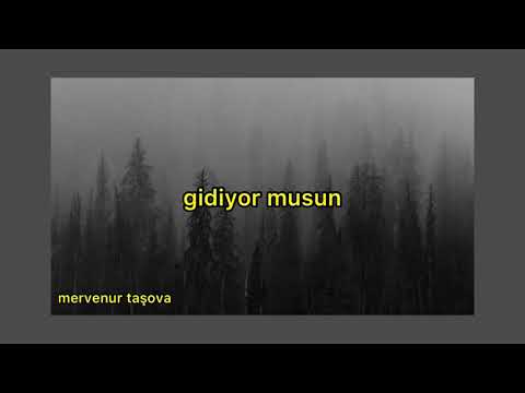 gidiyor musun - yasir miy (cover) | mervenur taşova