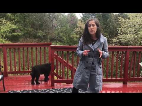 Protecting Yourself from COVID 19: My Views from the Deck