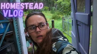 Grocery Bills, Autumn Flowers & Apple Pie | Hamakua Homestead