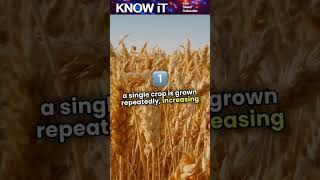 10 Marvelous Facts About Intensive Farming | KNOW iT