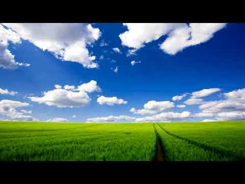 Lacrimile de durere # Emil Cuc