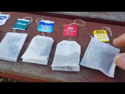 Which tea bags are safe for composting & worm farms? A test of popular brands to see which are best.